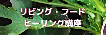 350リビングフードヒーリング講座